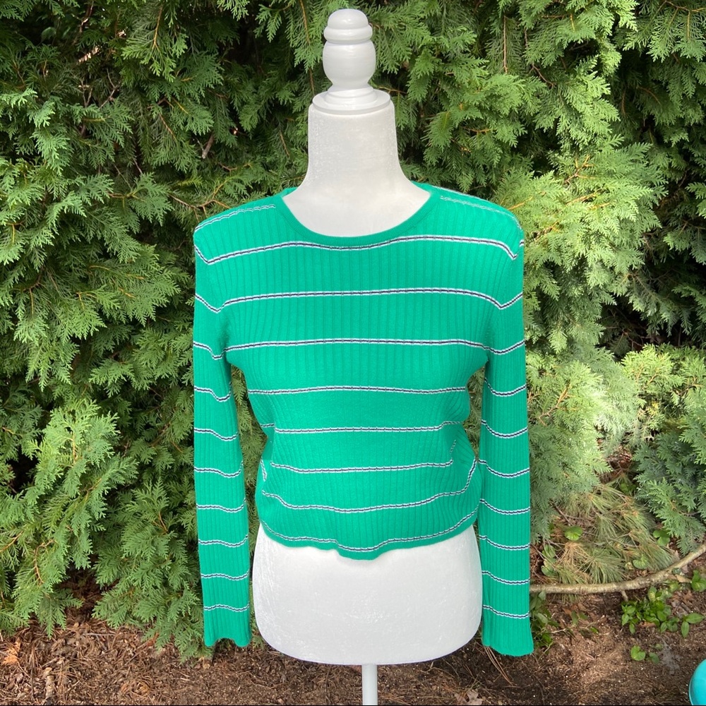 Tillium Green Stripe Fitted Sweater from Zumiez